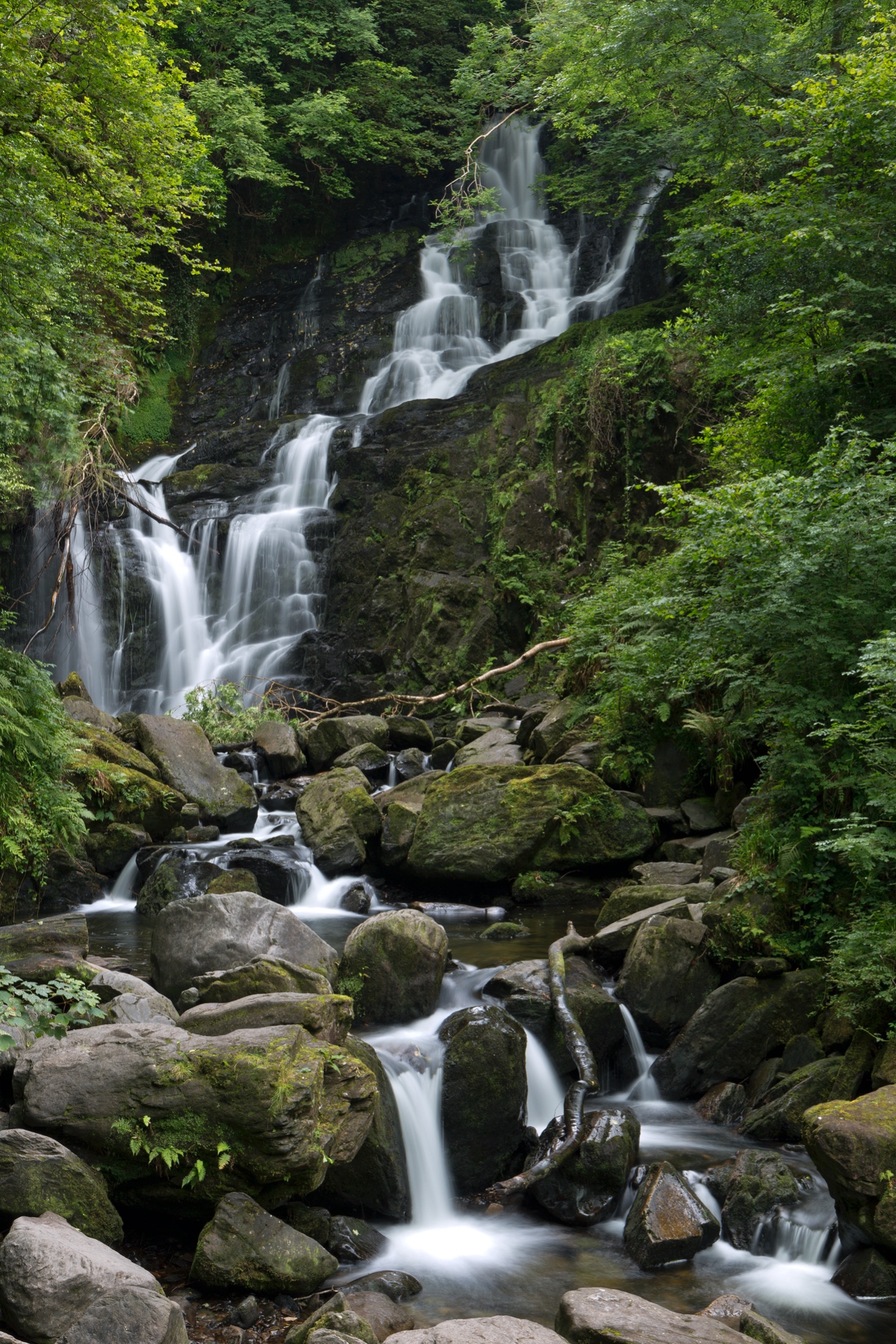 Torc Wasserfall im Killarney Nationalpark