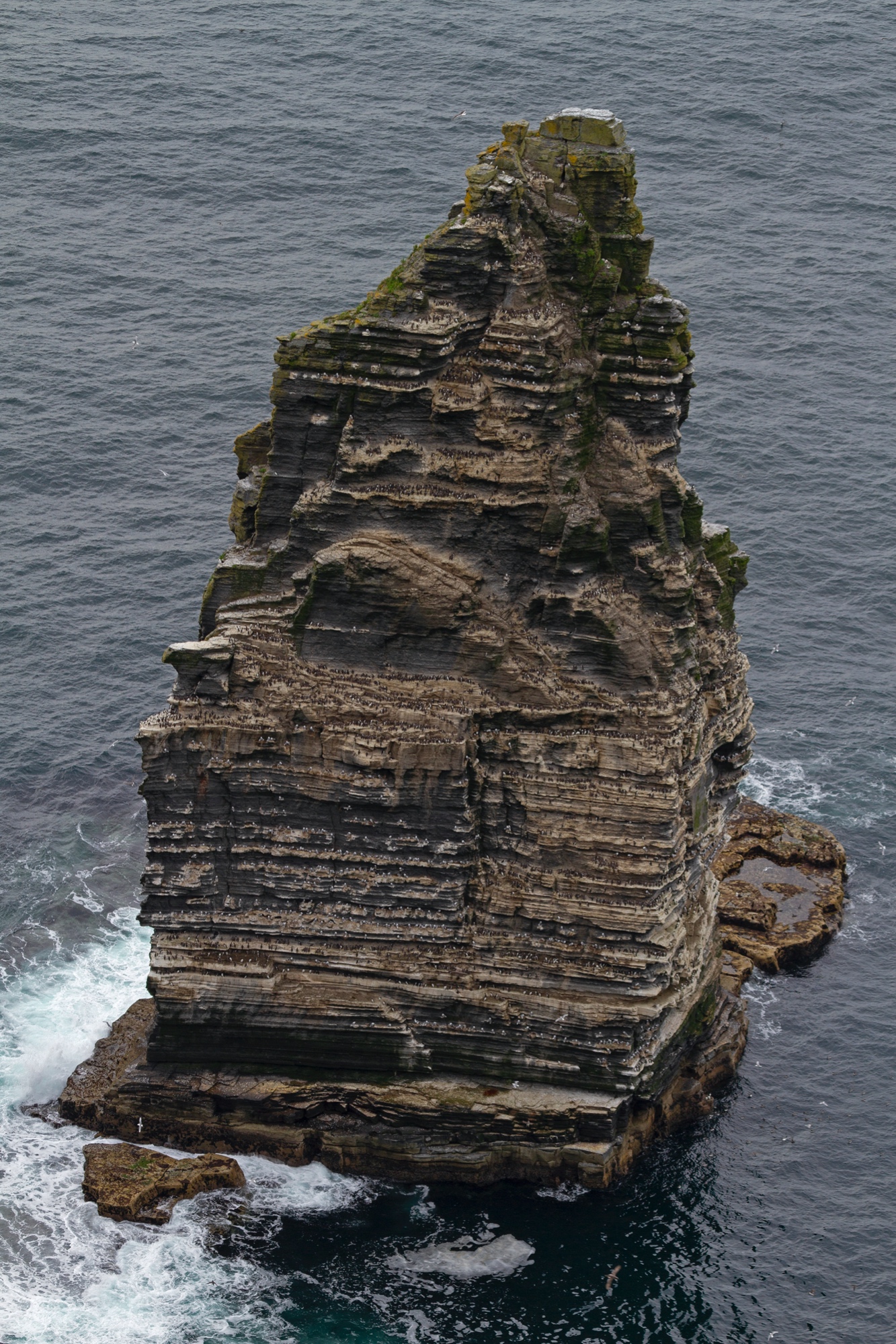 Vogelinsel, Cliffs of Moher