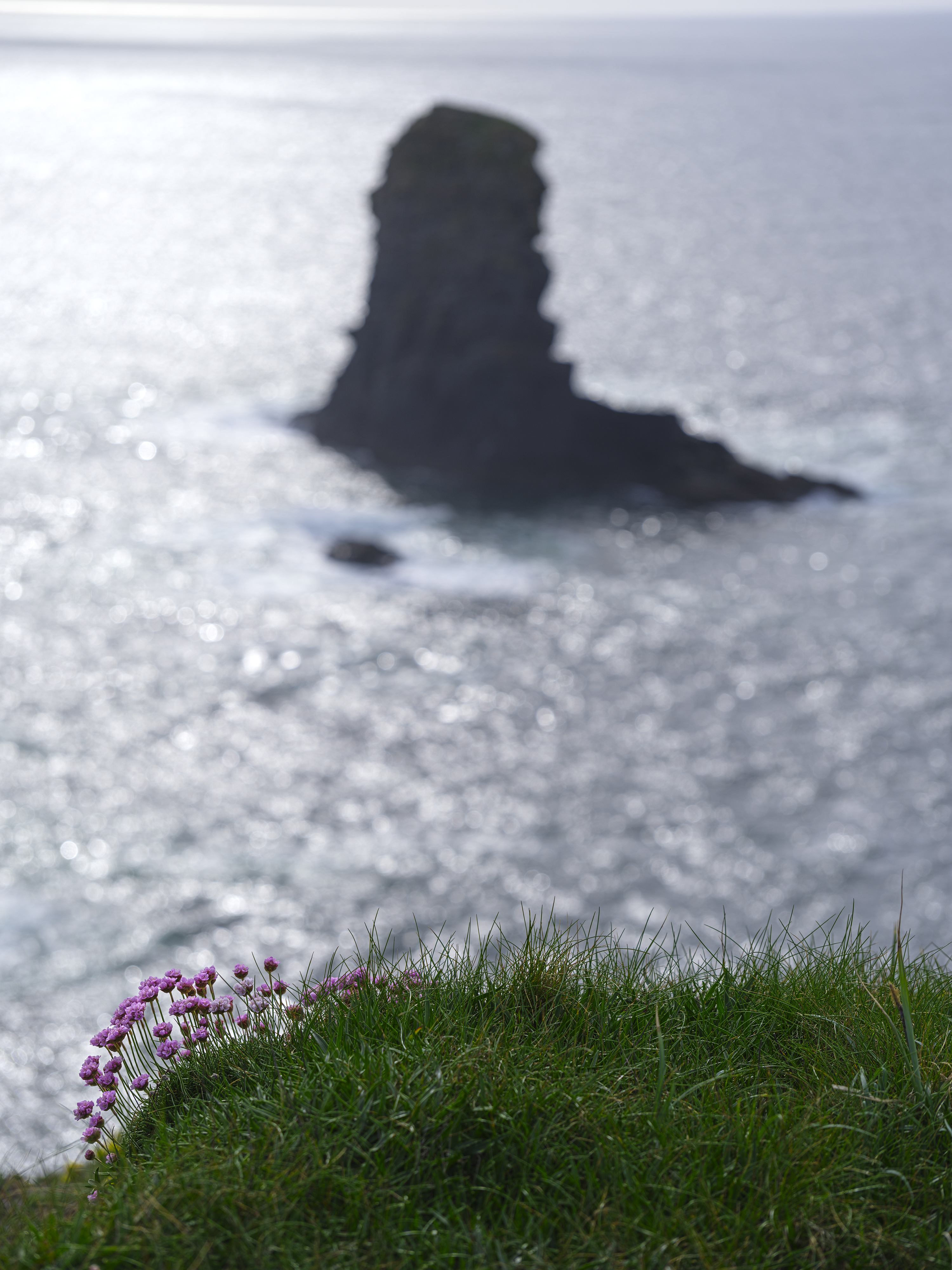 Irlands Westküste bei ...
