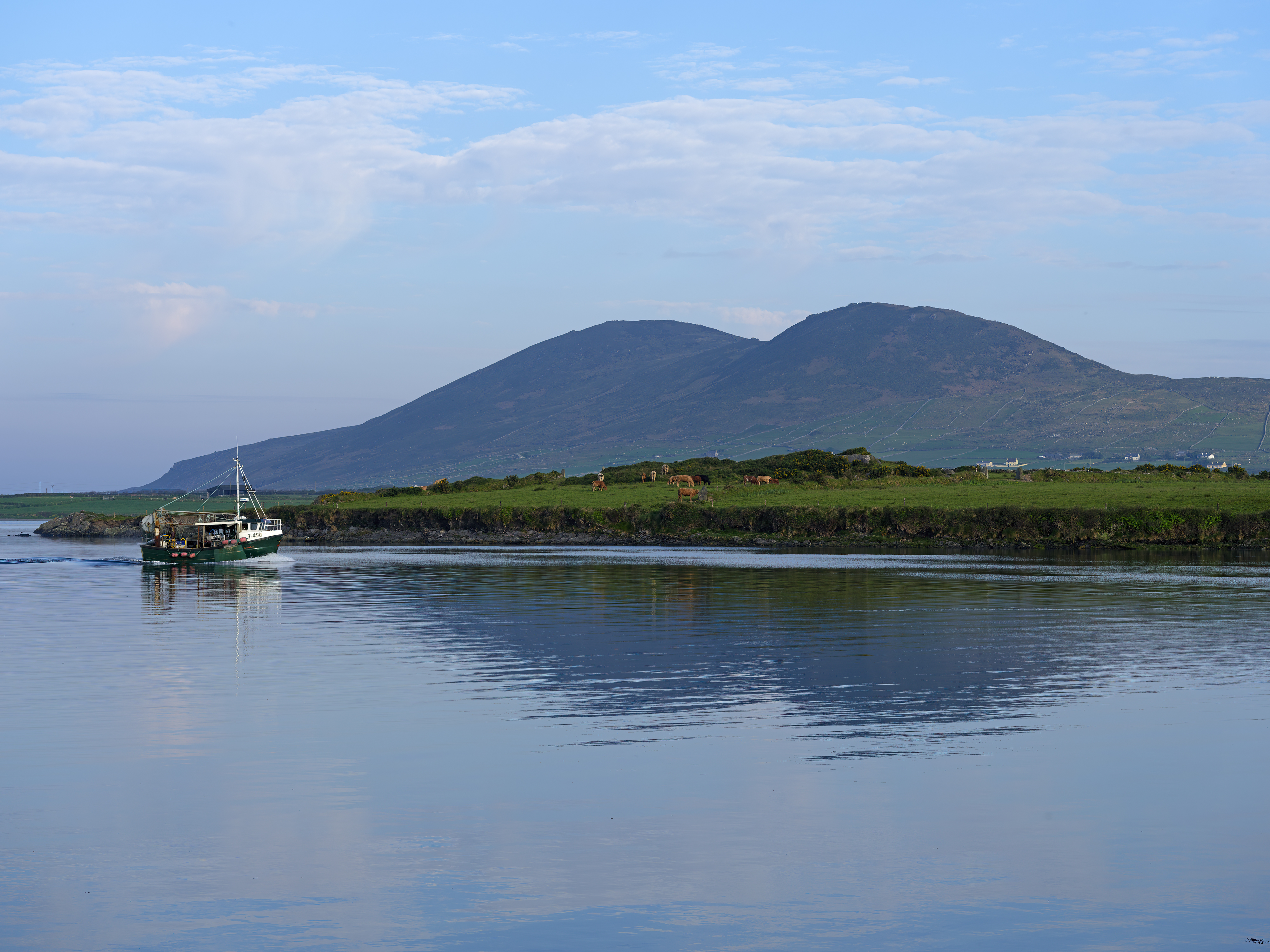 Heute Morgen auf dem ...