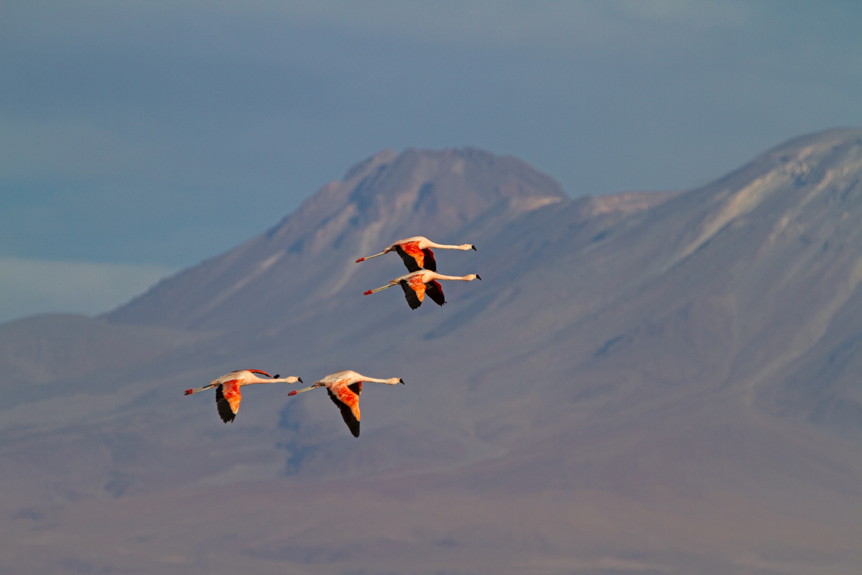 Vor schöner Bergkulisse