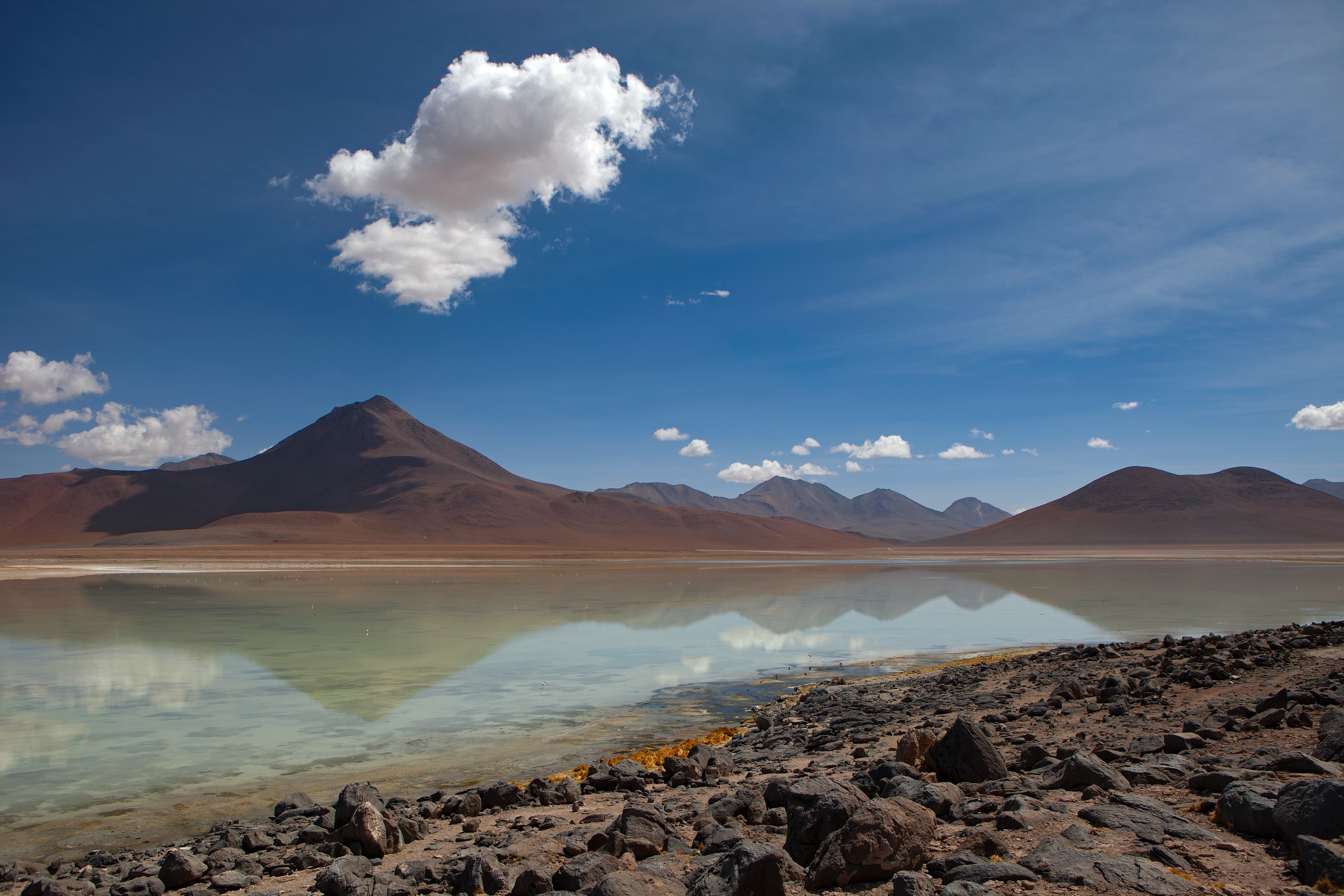 Laguna Blanca in Bolivien