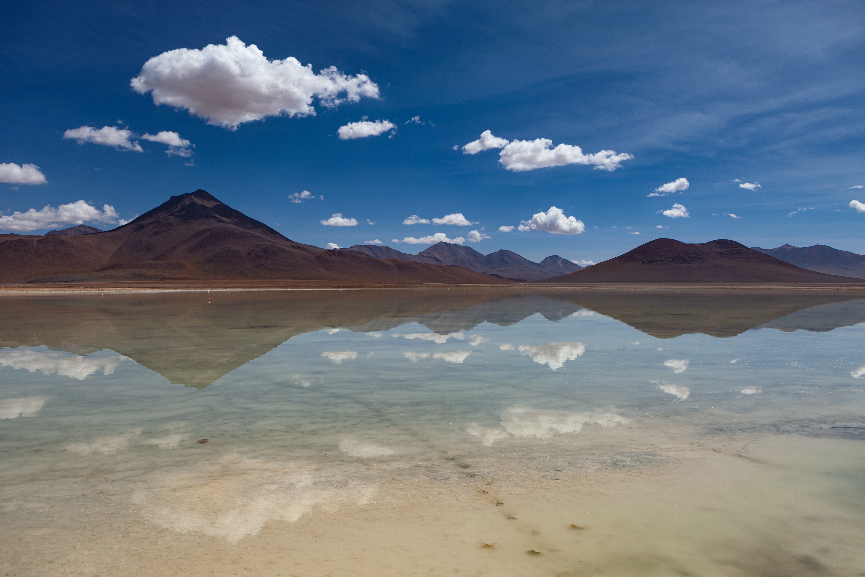 Laguna Blanca, Bolivien