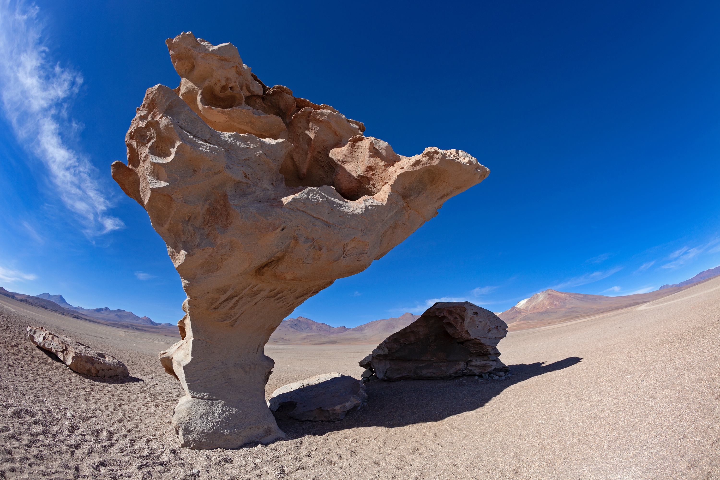Rock Tree, Altiplano, Bolivien