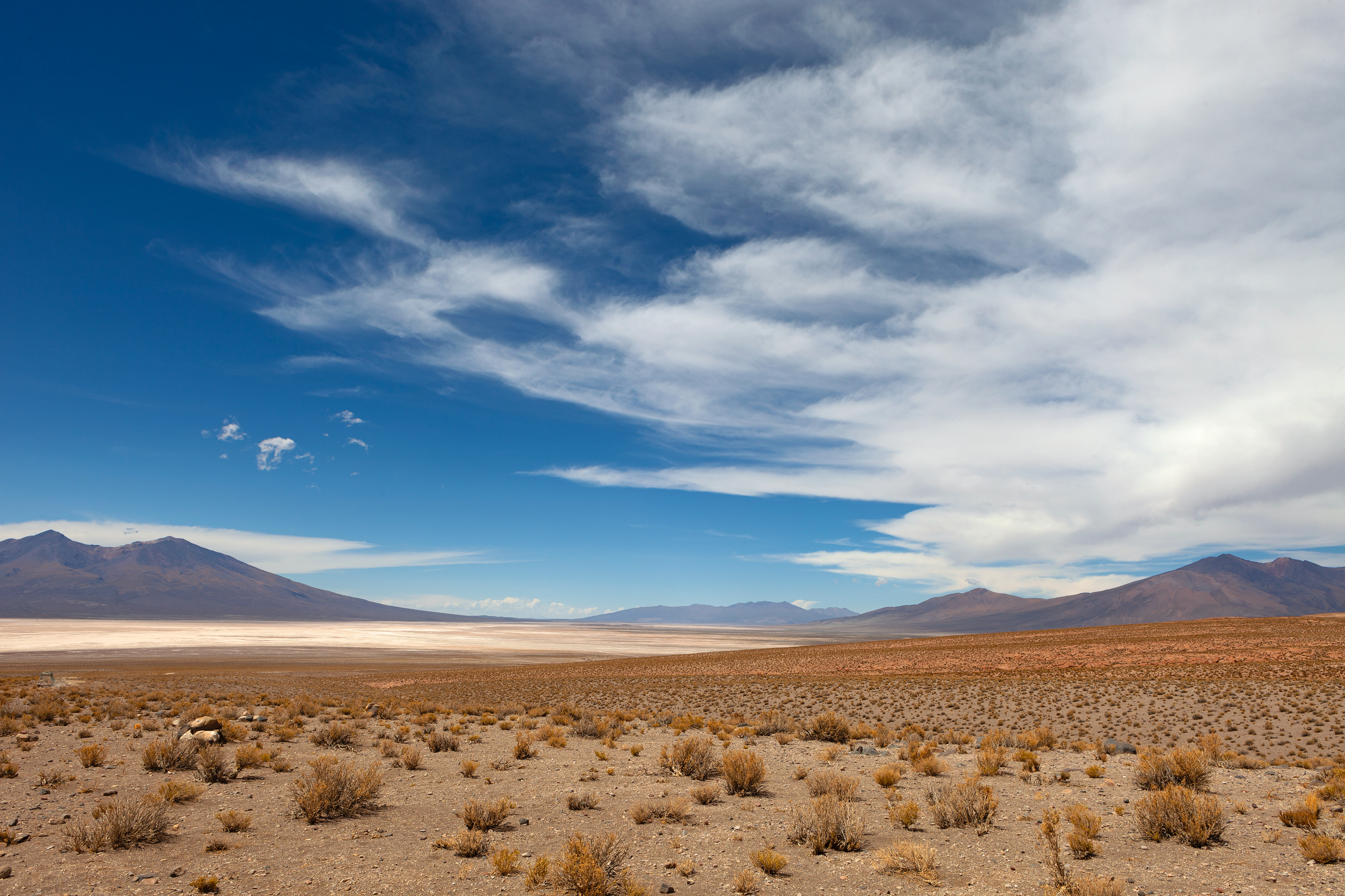 Altiplano, Bolivien