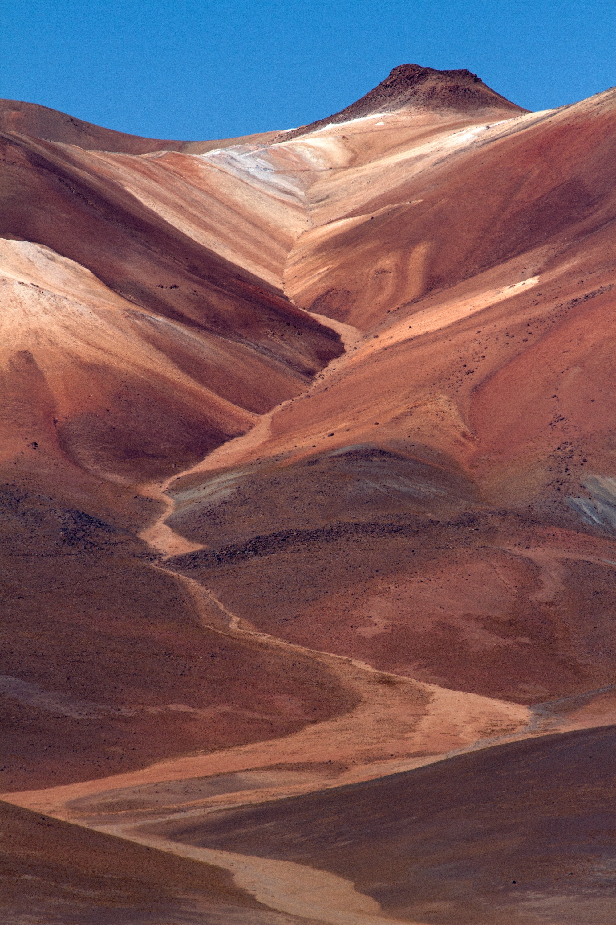 Die Farben des Altiplanos