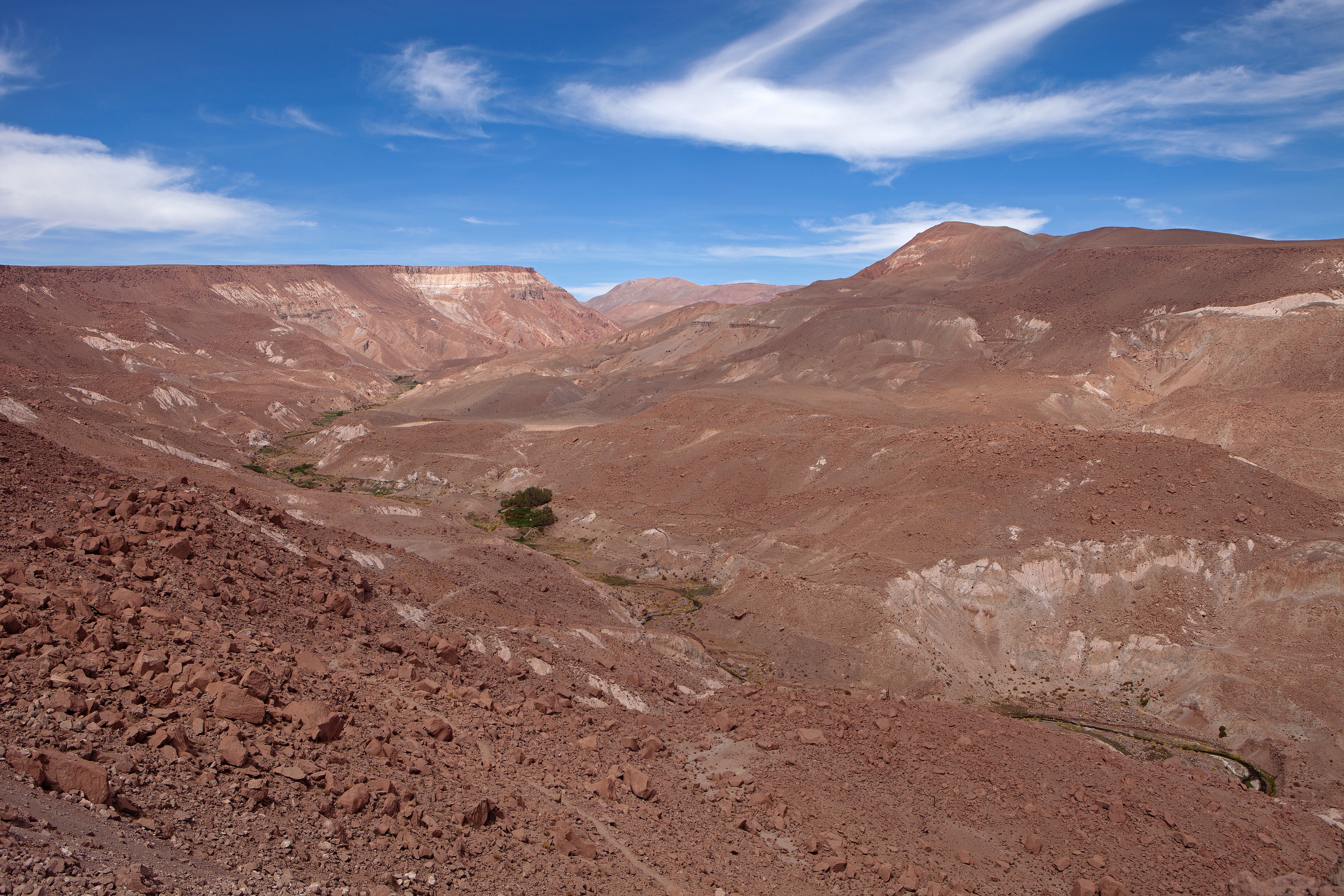 ein bisschen Grün in der Atacamawüste