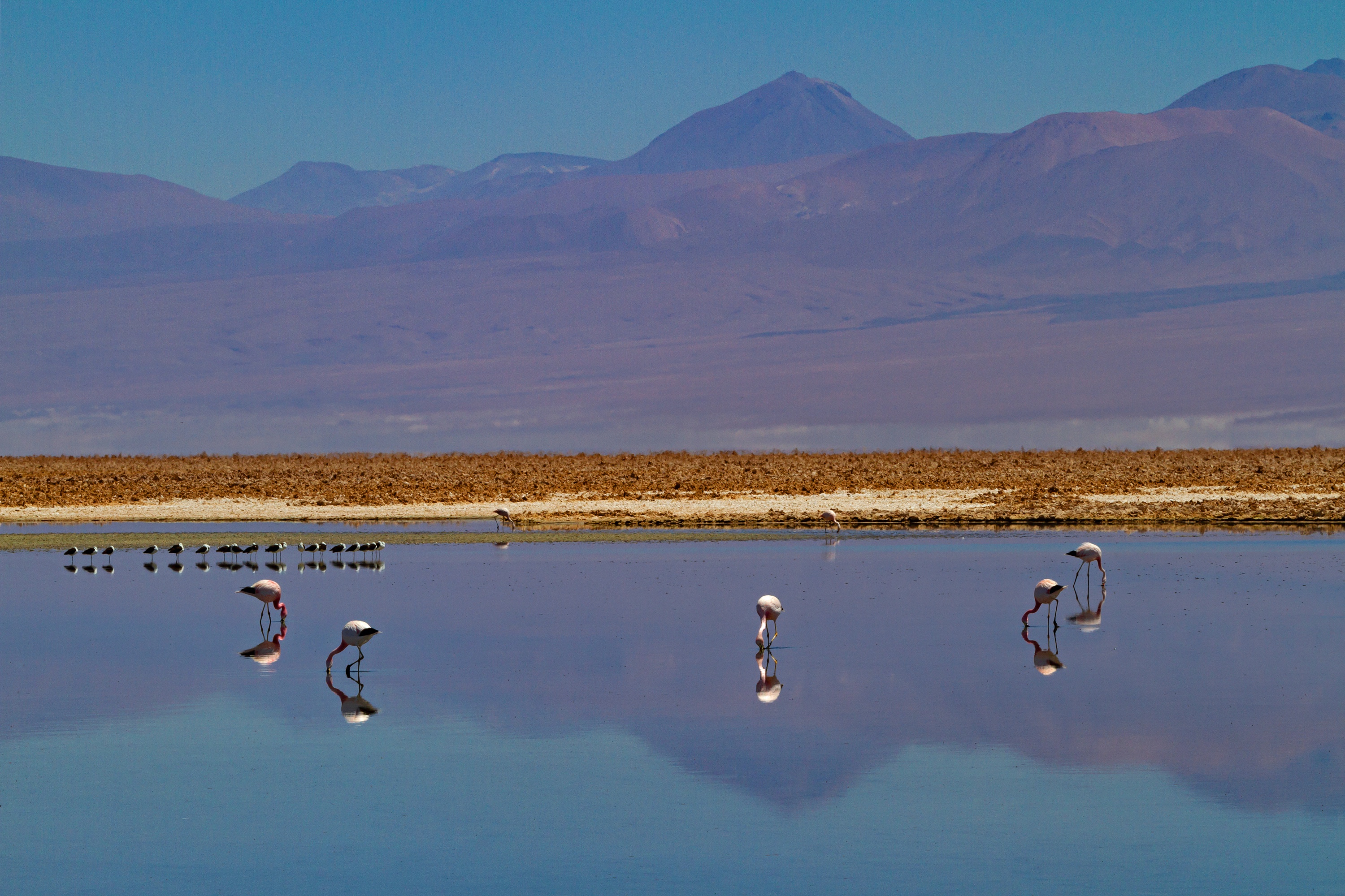 Laguna Barros Negros