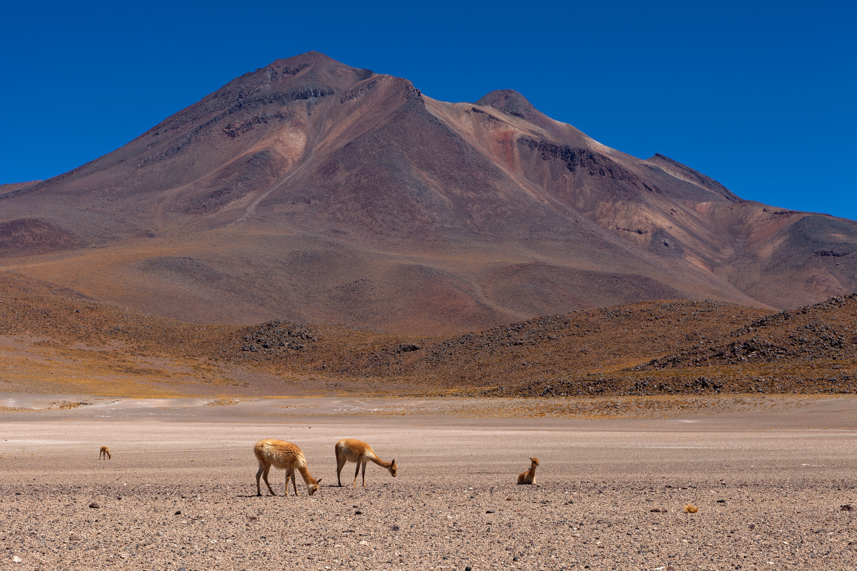 Altiplano, Chile