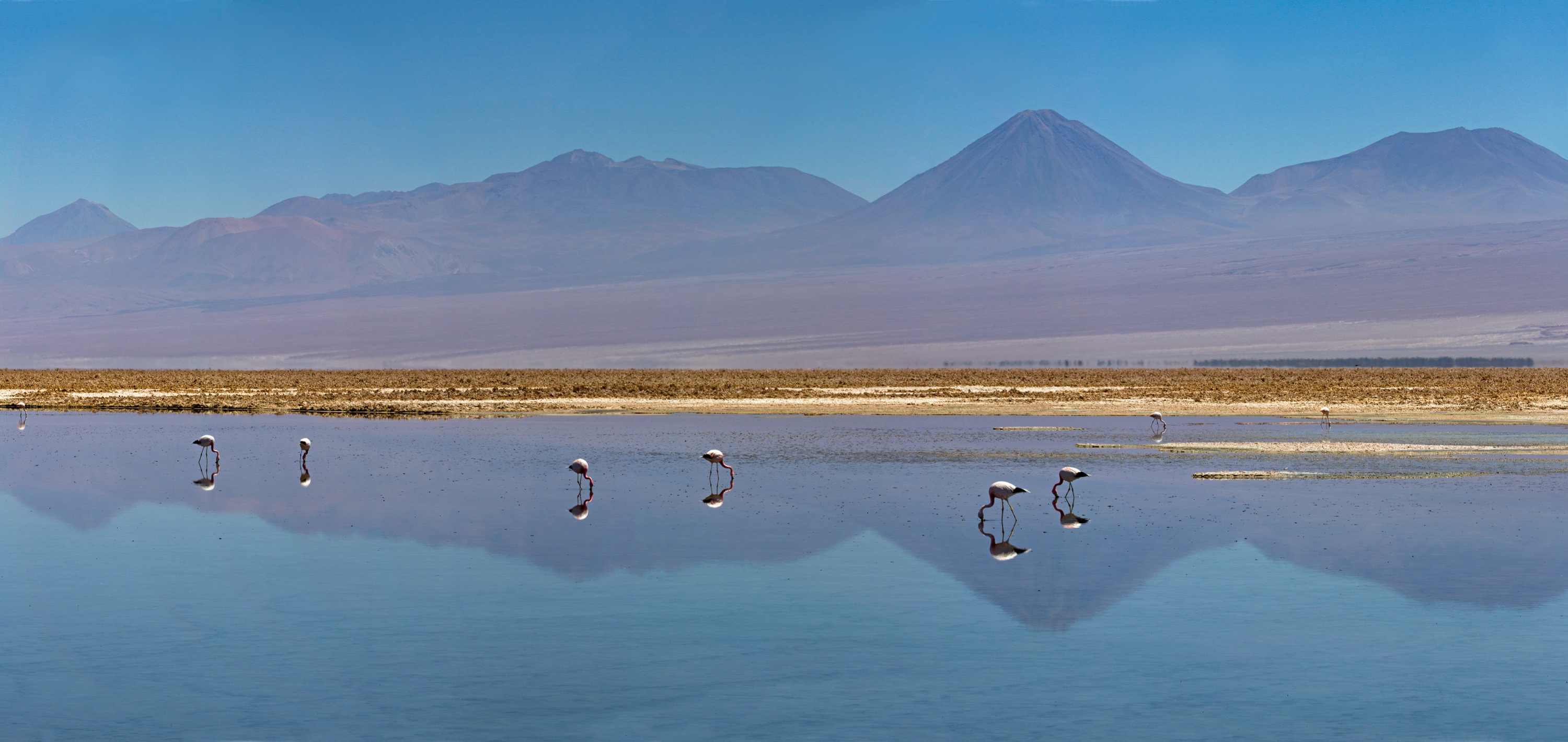 Laguna Barroso Negros mit Flamingos