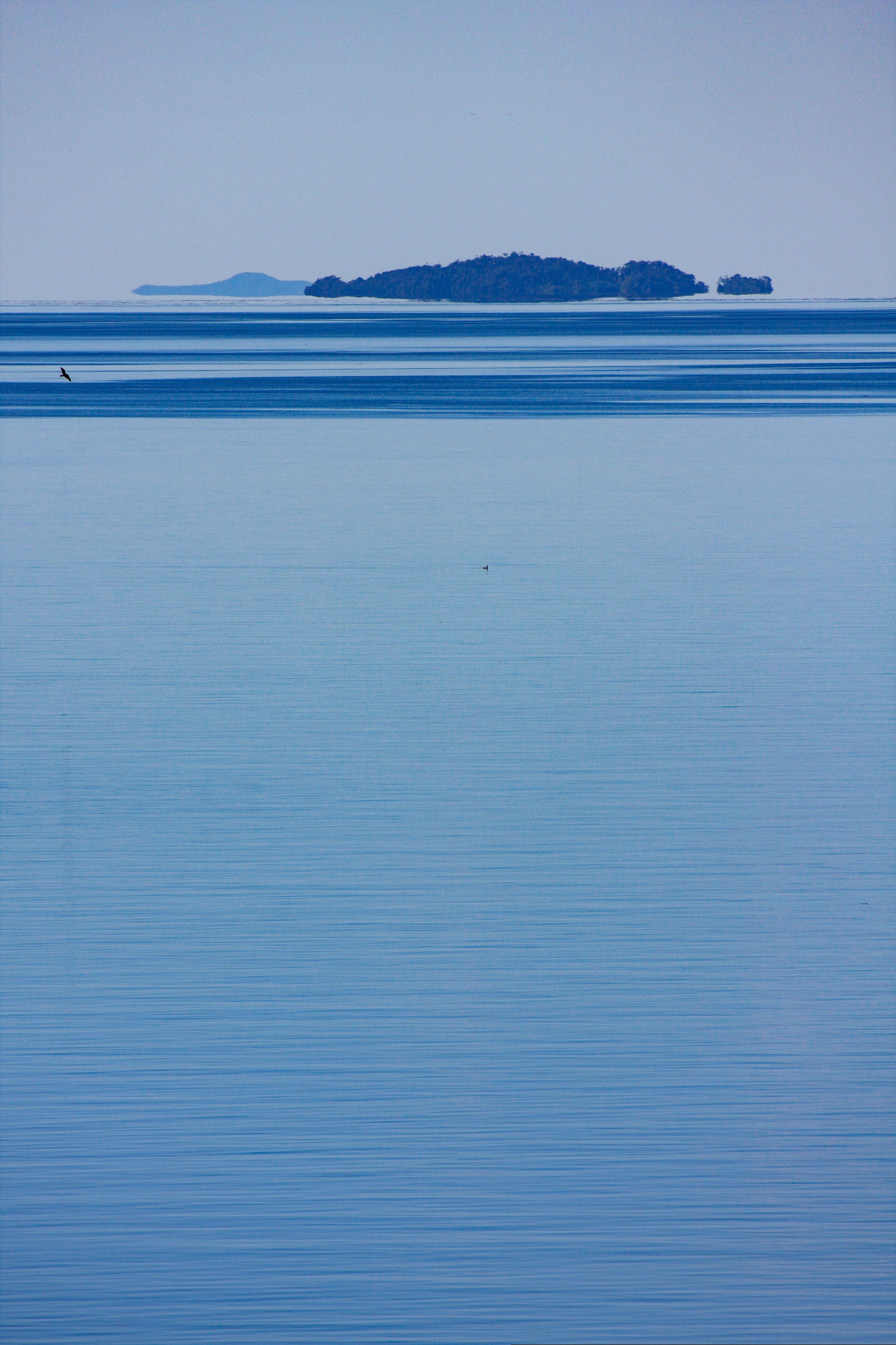 Pazifikküste südlich von Puerto Montt, Chile