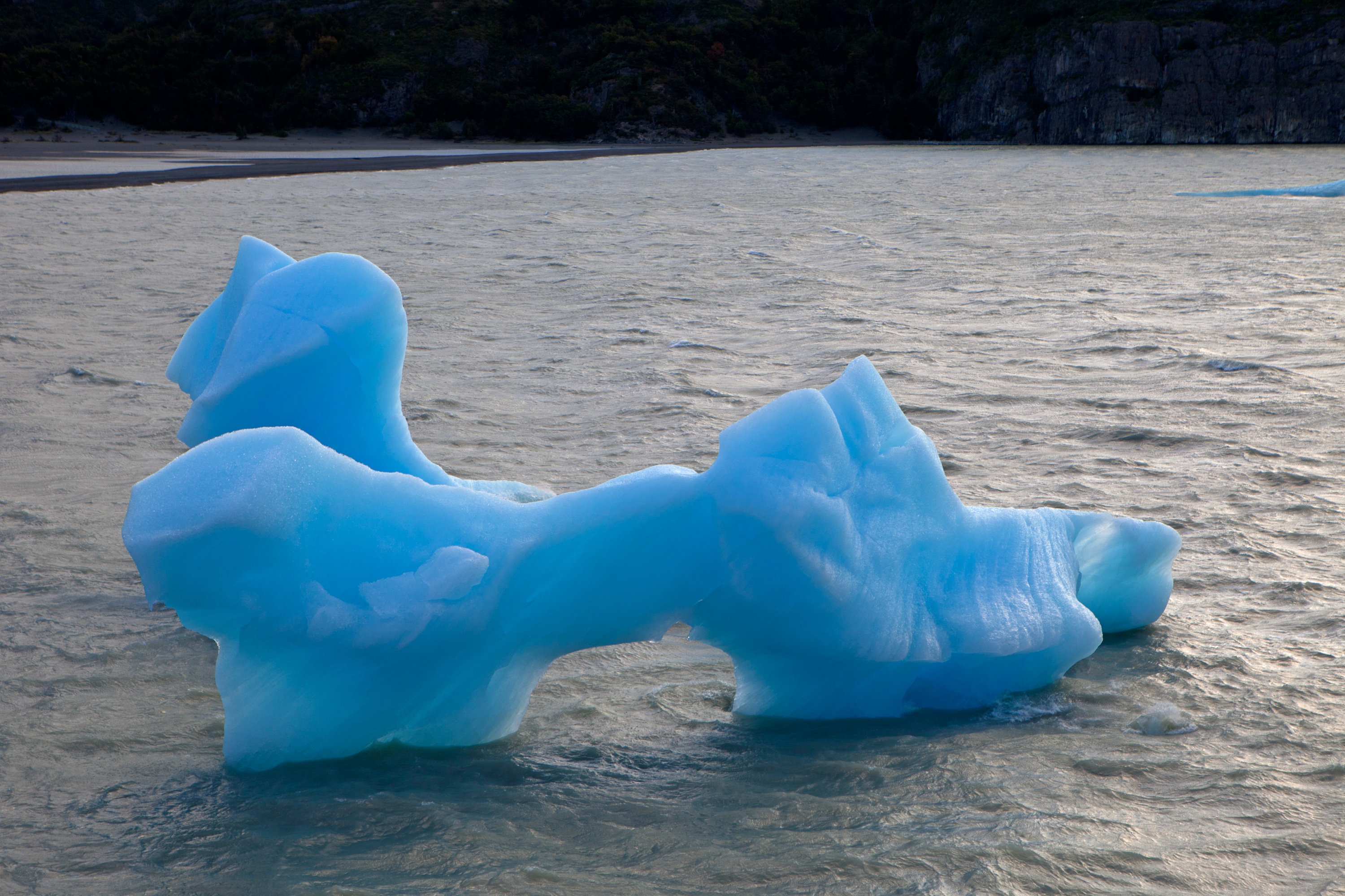 Eisberg im Lago Grey