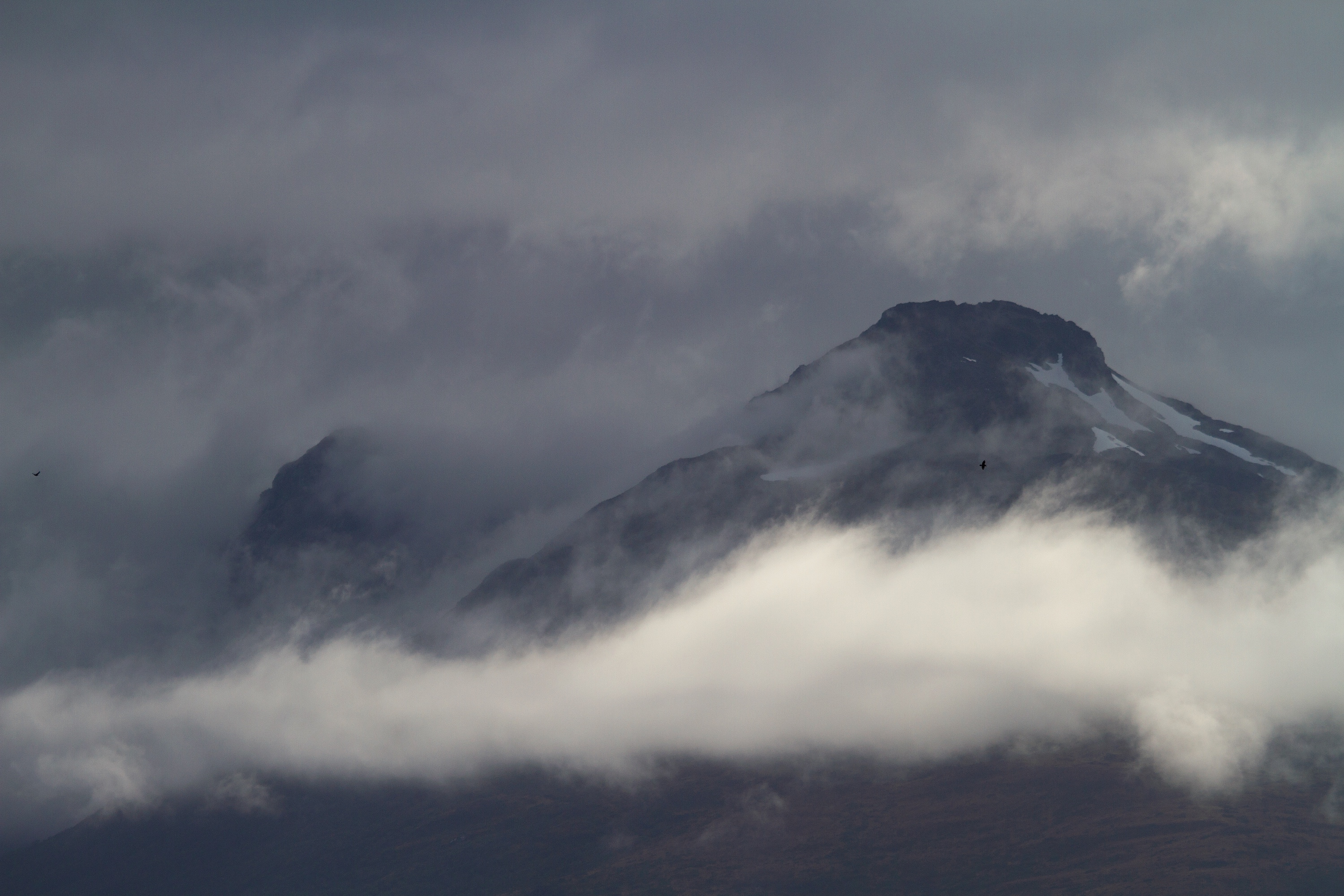Fjordregion, Südchile