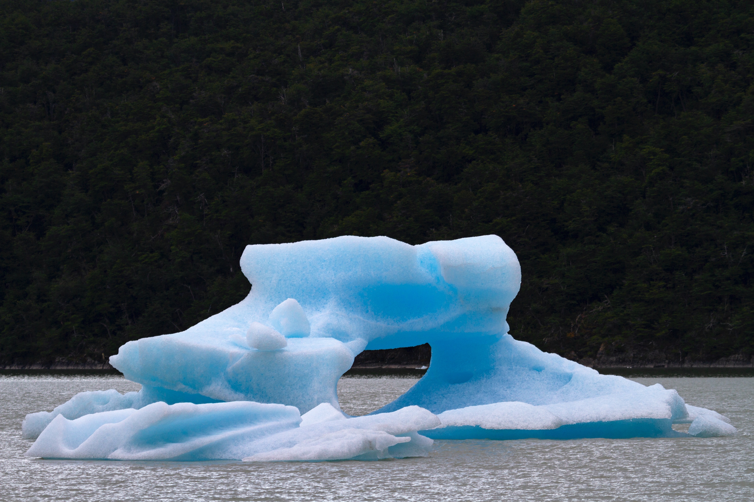 Eisberg auf dem Lago Grey
