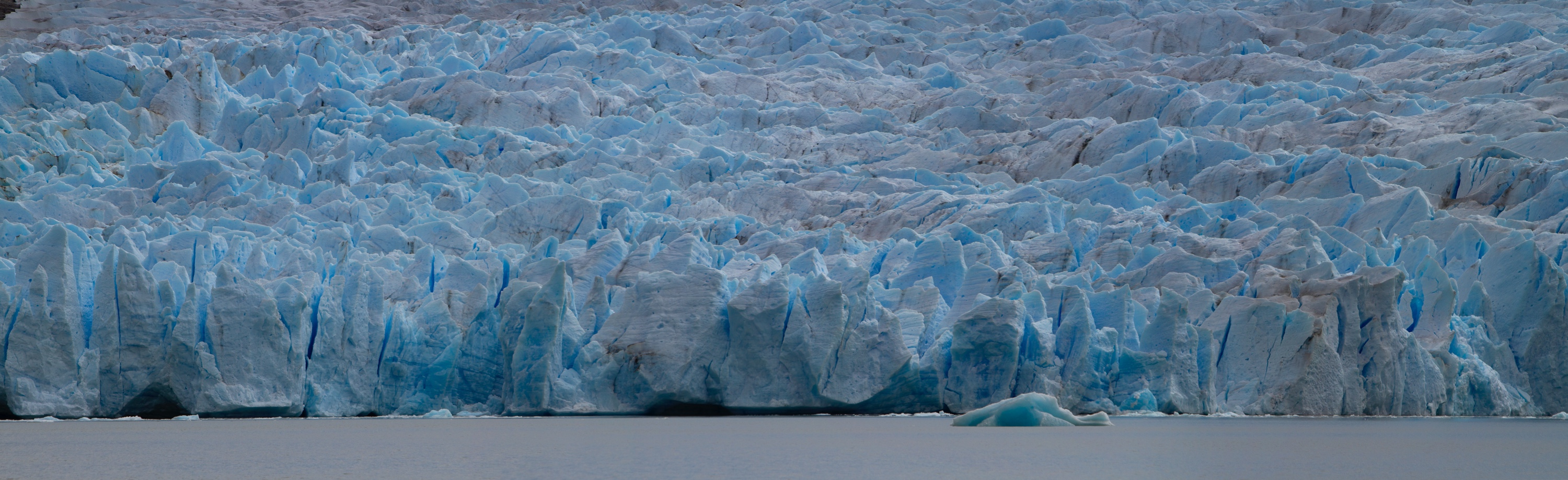 Grey Gletscherfront (nur ein Ausschnitt)