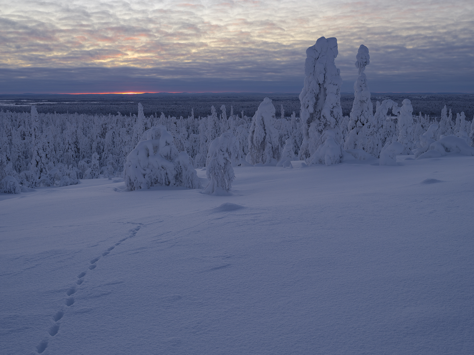 Farbiger Streif am Horizont