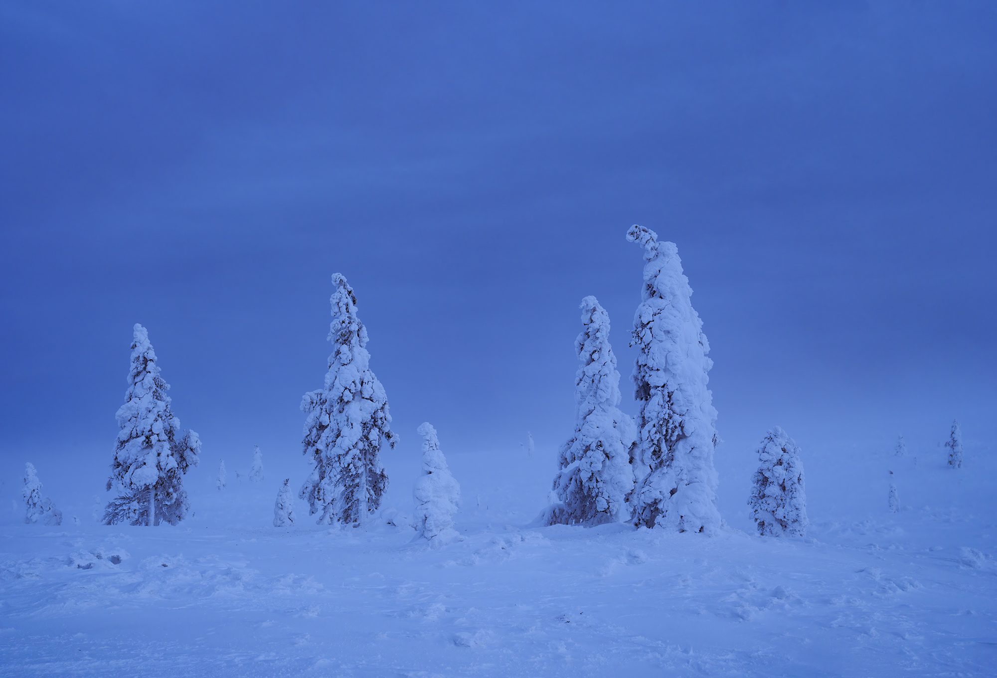 Urho Kekkosen Nationalpark, Finnland