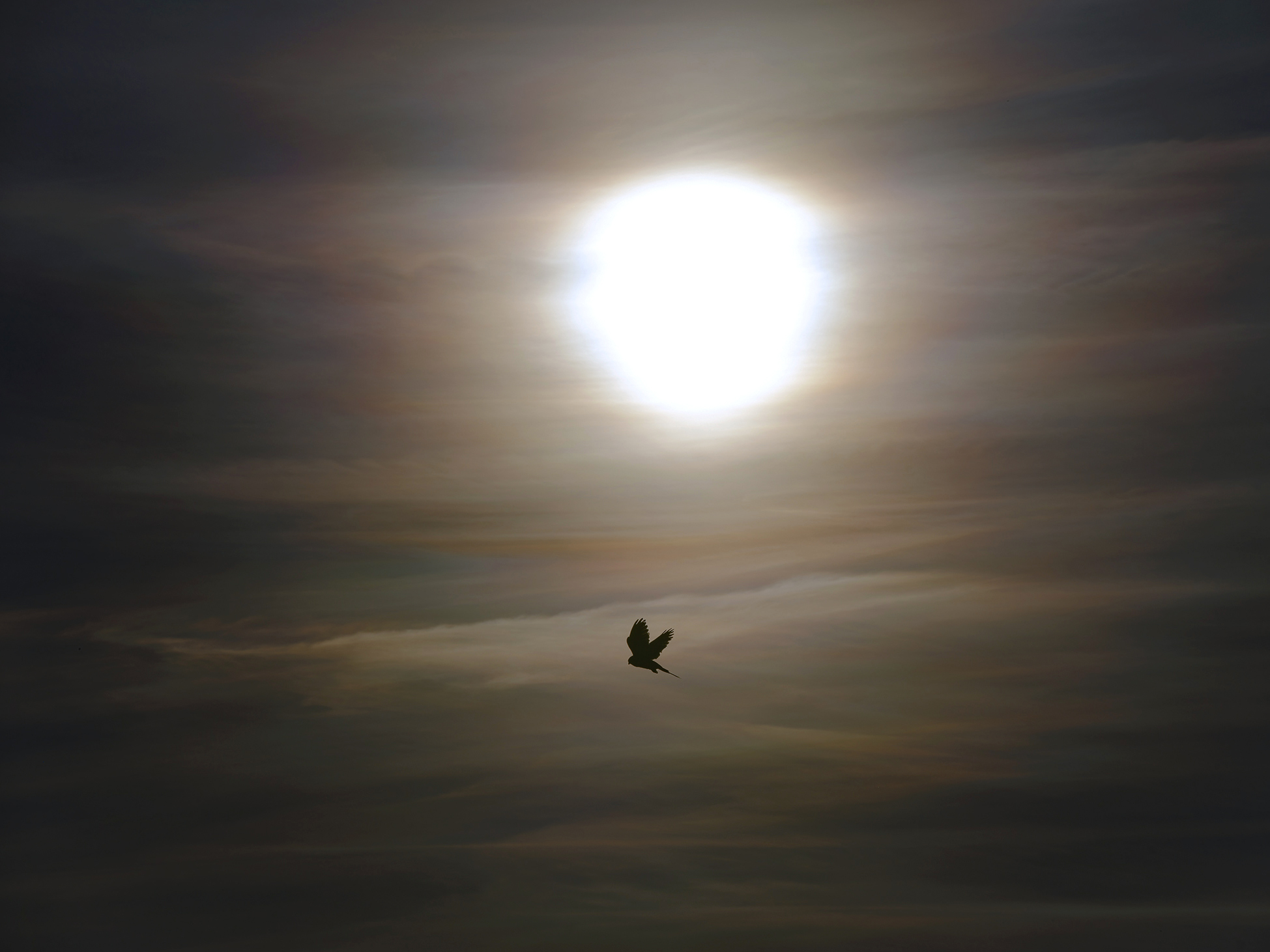 Wenn sich Sonnenlicht  ...