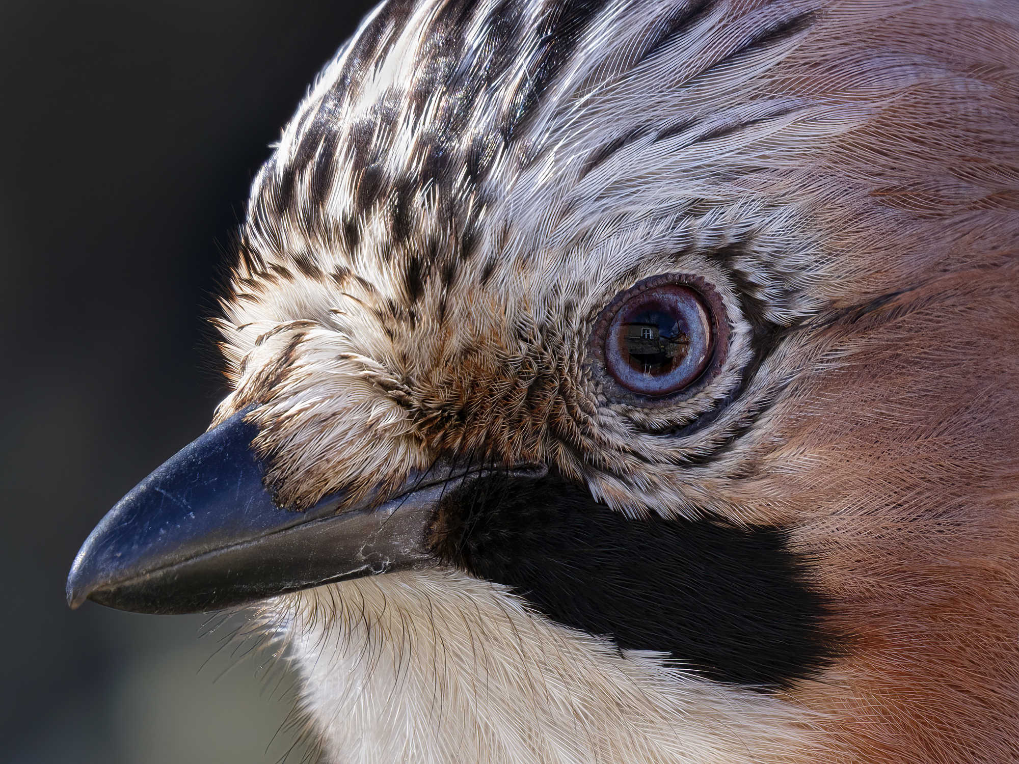 Der obere Balkon gehört zu meiner Wohnung (siehe im Auge)